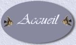 Accueil
